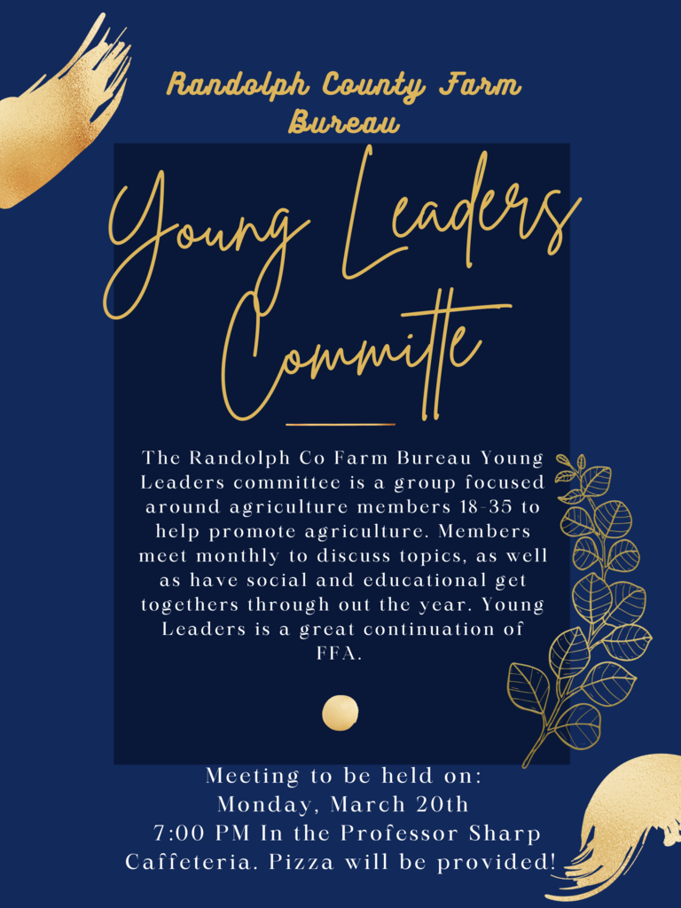 Young Leaders Committee